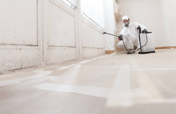 24/7 Emergency Mold Remediation experts in Manitou Springs, CO